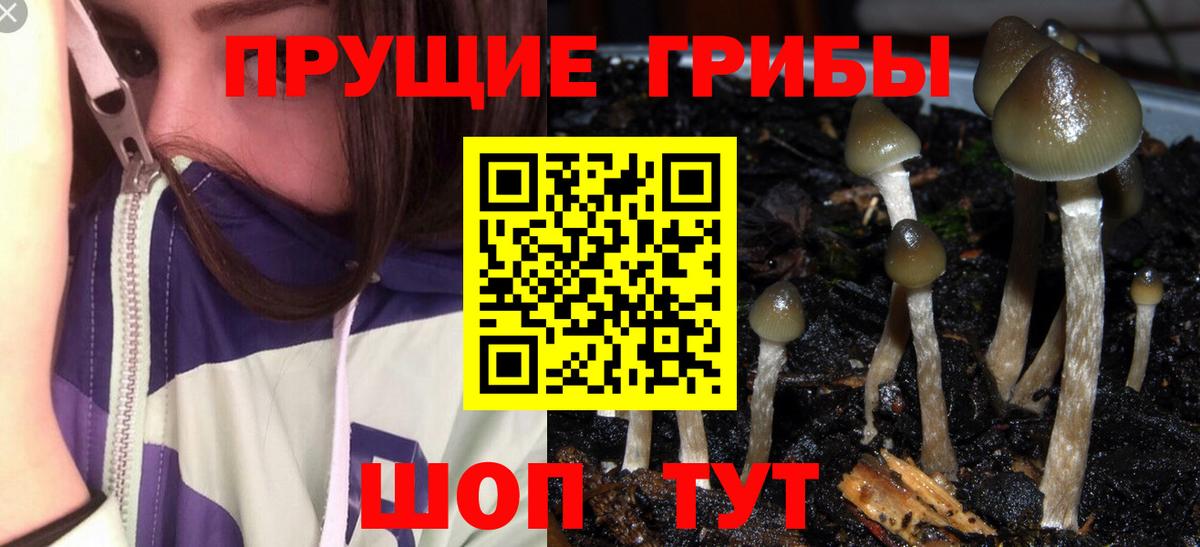 Галлюциногенные грибы Magic Shrooms  Вход с VPN  Галлюциногенные грибы Cubensis  Кропоткин 